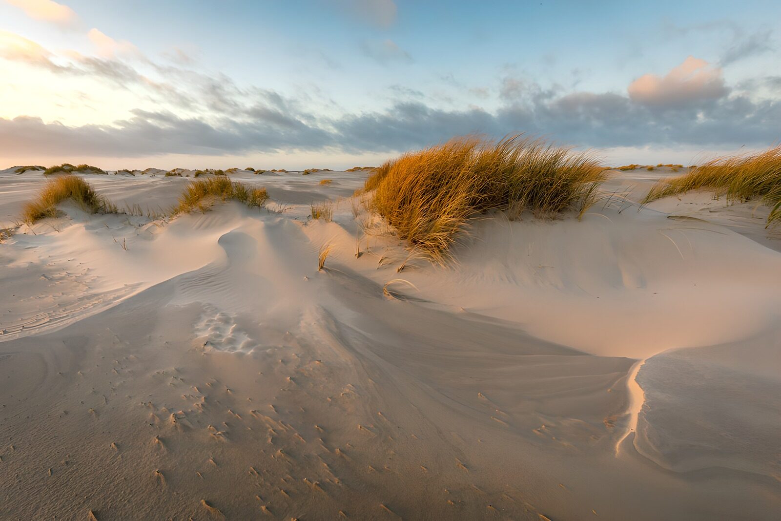 TP99140: Zandduinen onder een kleurrijke lucht