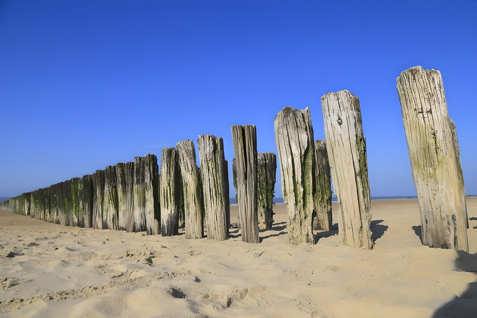 TP45828: Palenrij aan het strand