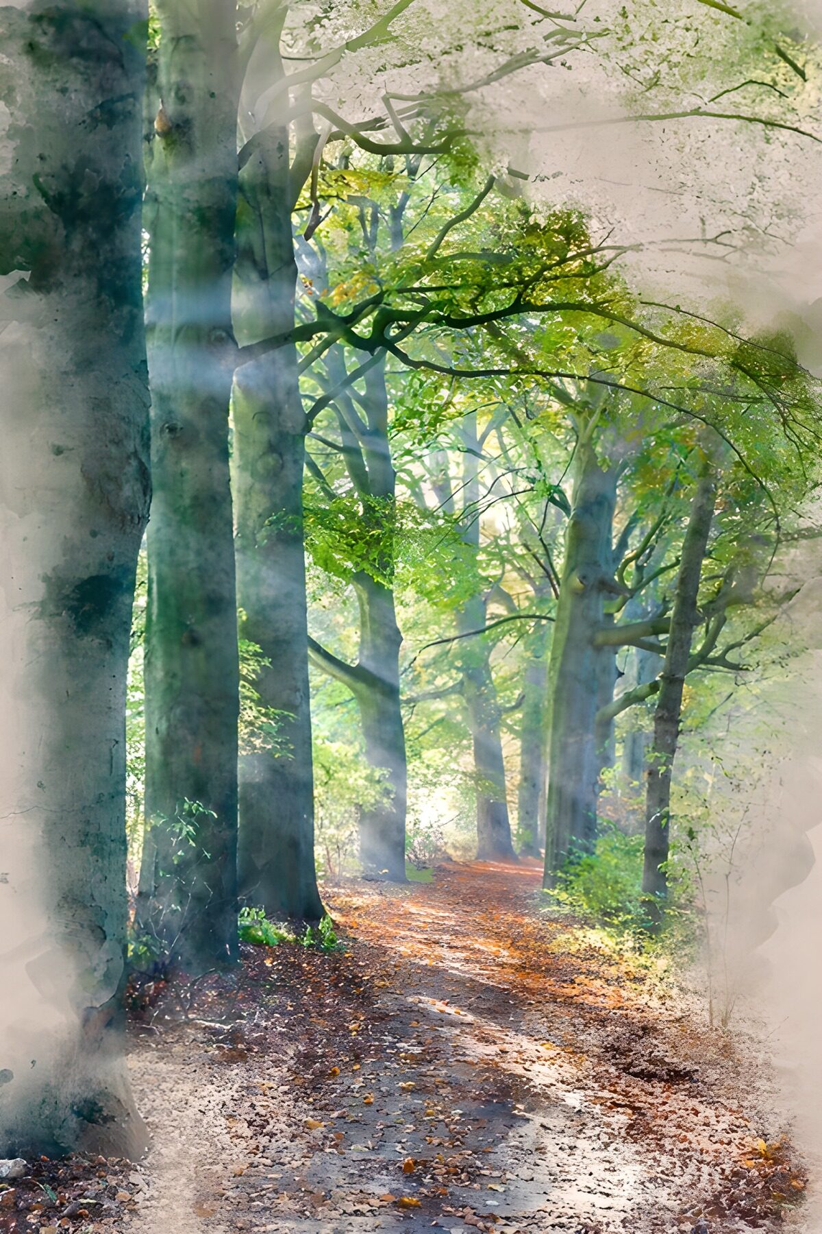 TP86749: Rustige Wandelgang door het Bos