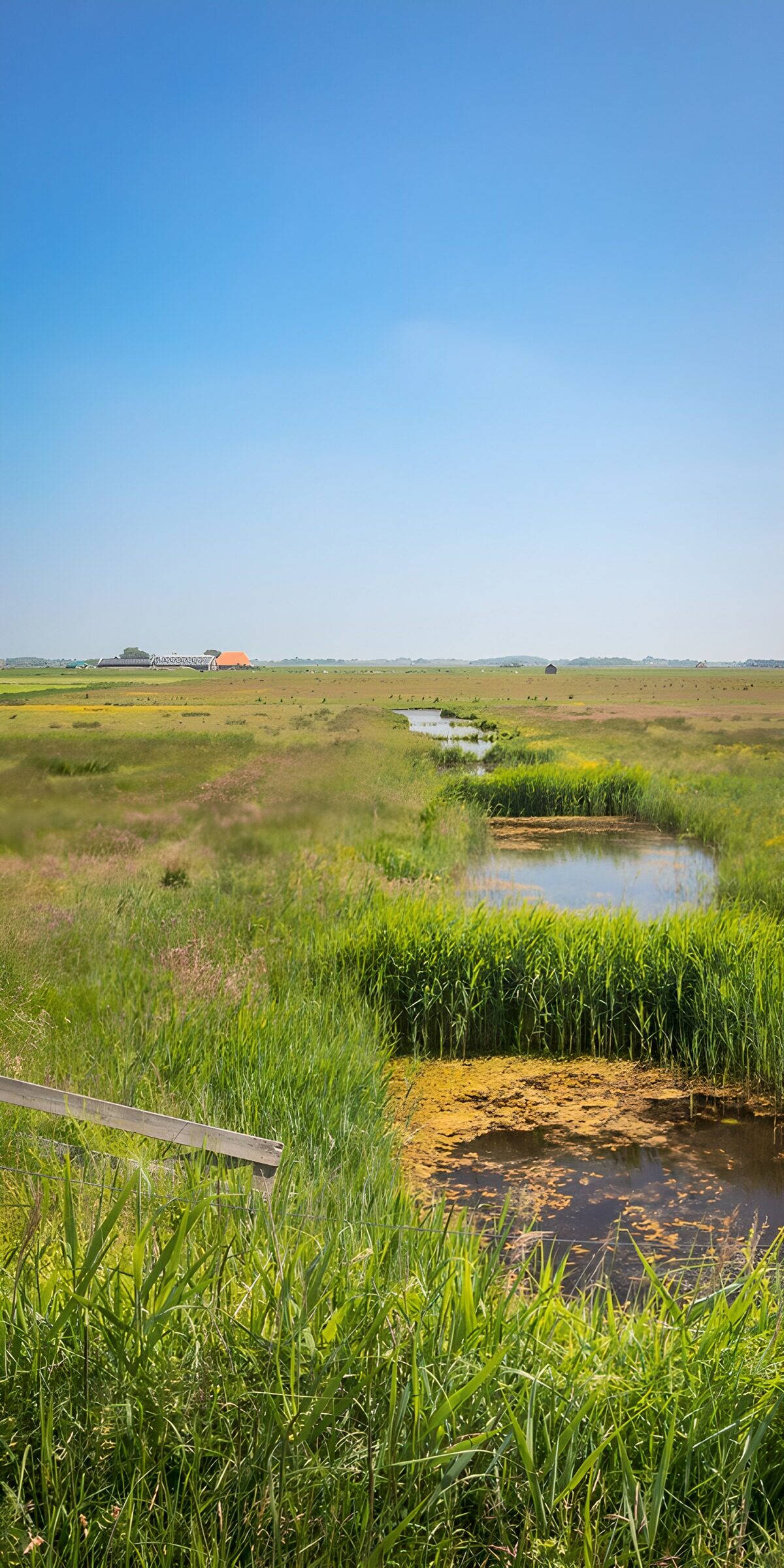 TP44338: Prachtig uitzicht op de groene weiden