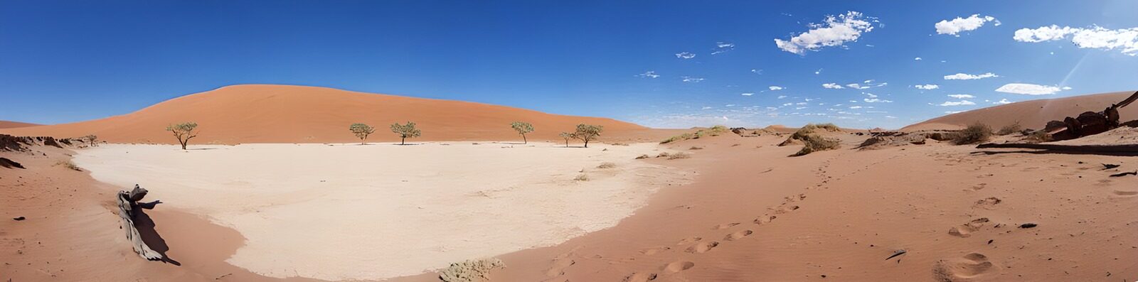 TP26928: Dead Vlei Namib-Naukluft National Park in Namibië