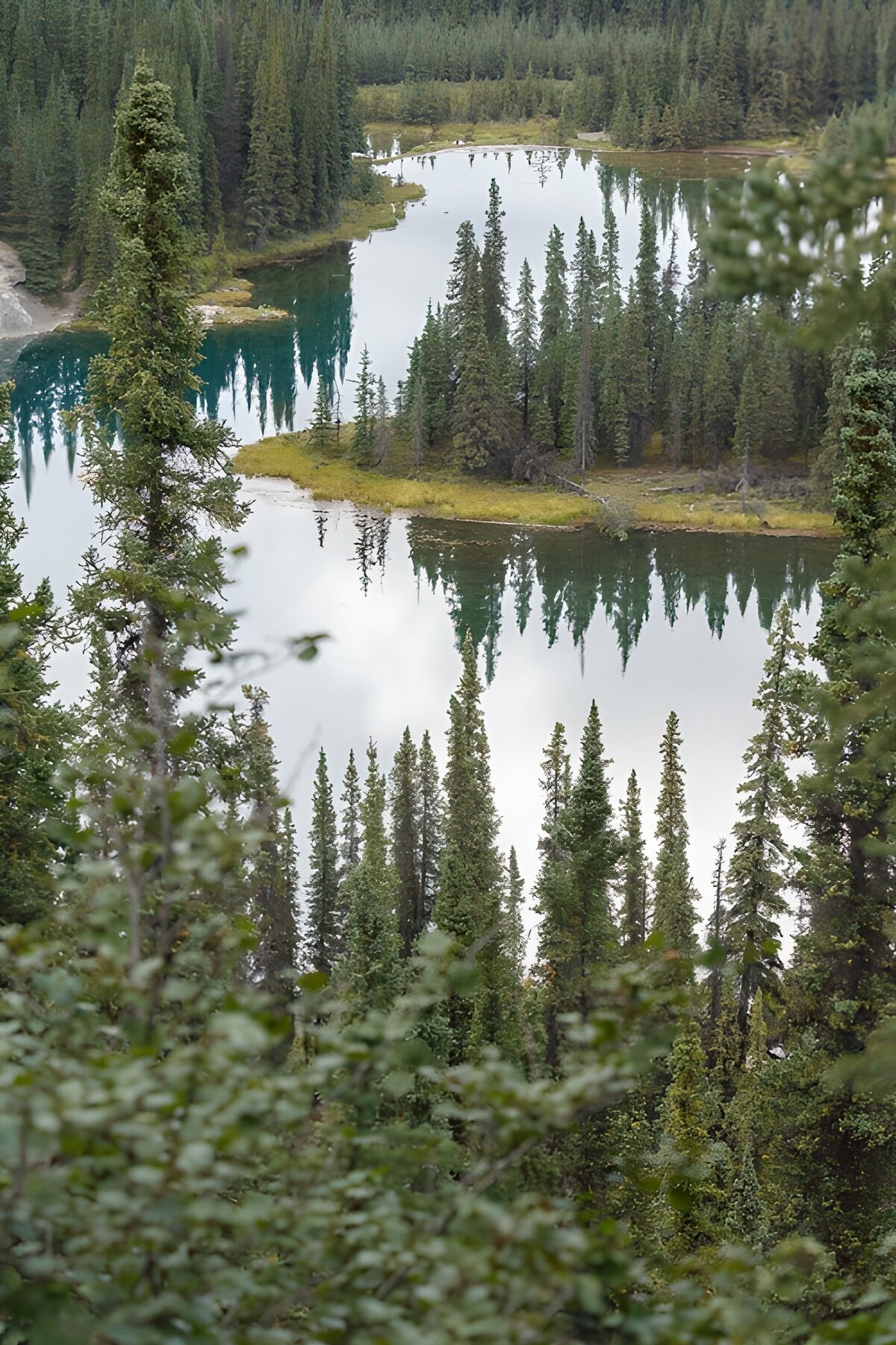 TP97641: Rustige natuur met waterreflectie