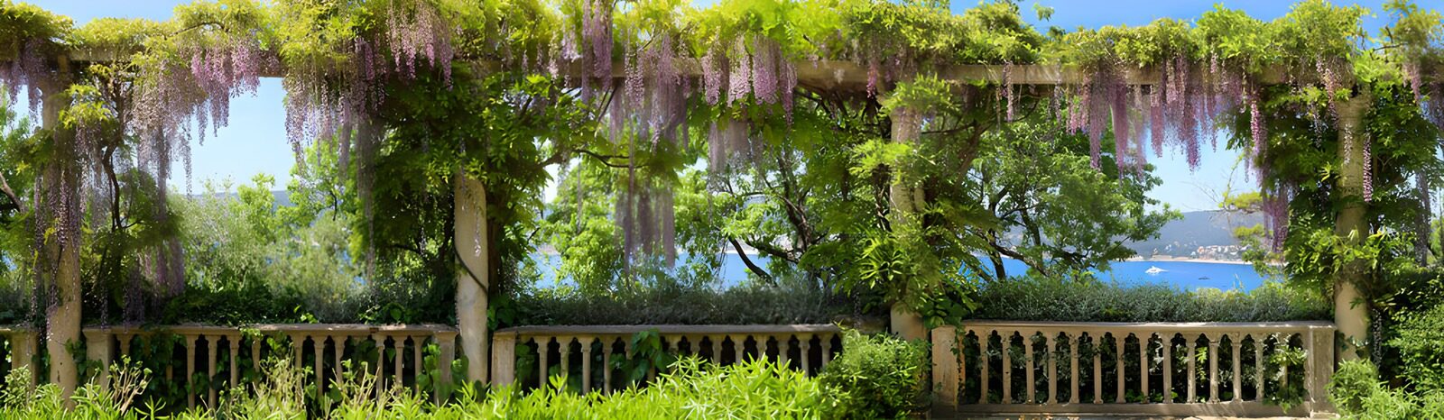 TP81249: Prachtige Pergola met Wisteria