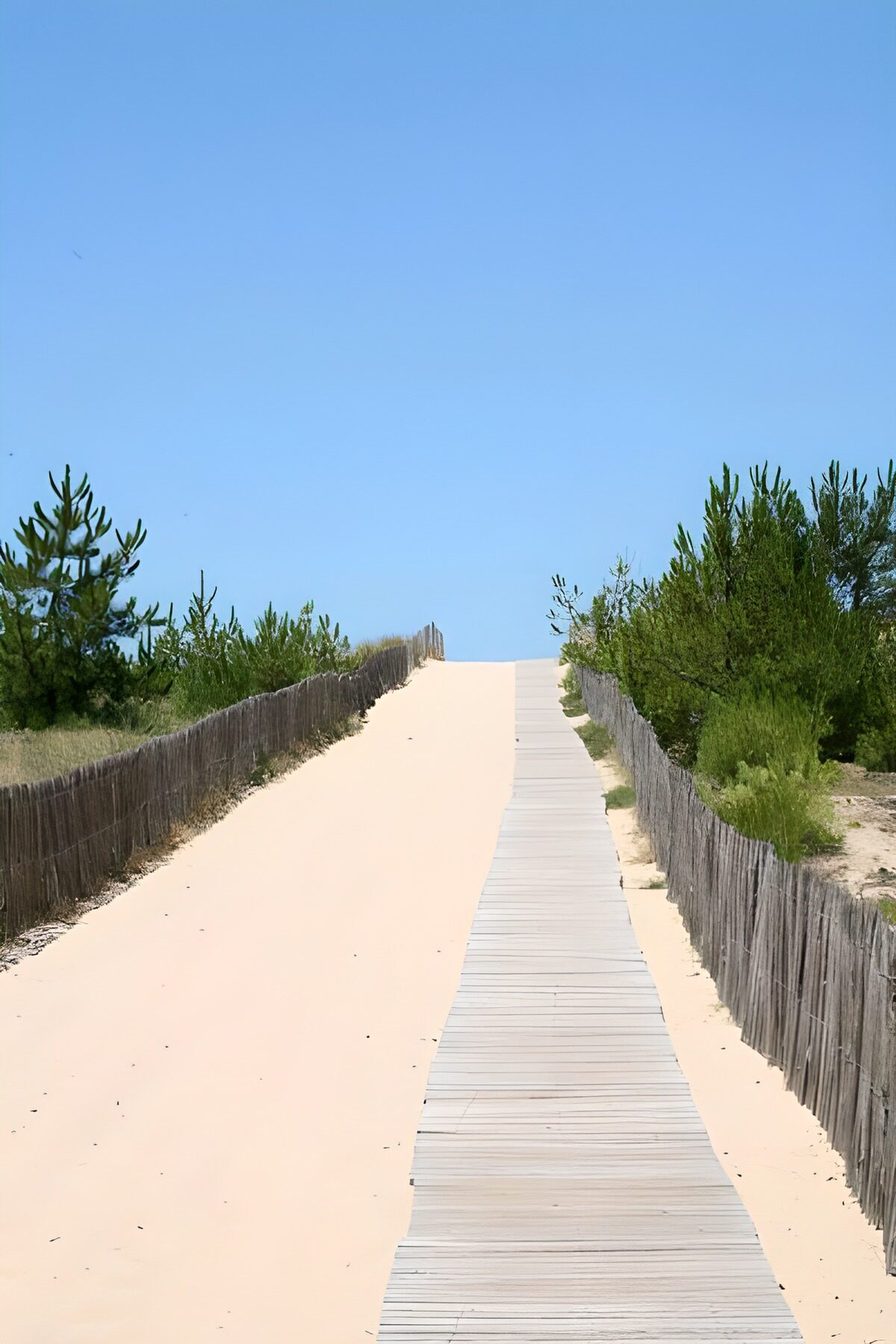 TP81522: Route naar het strand over duinen en houten pad