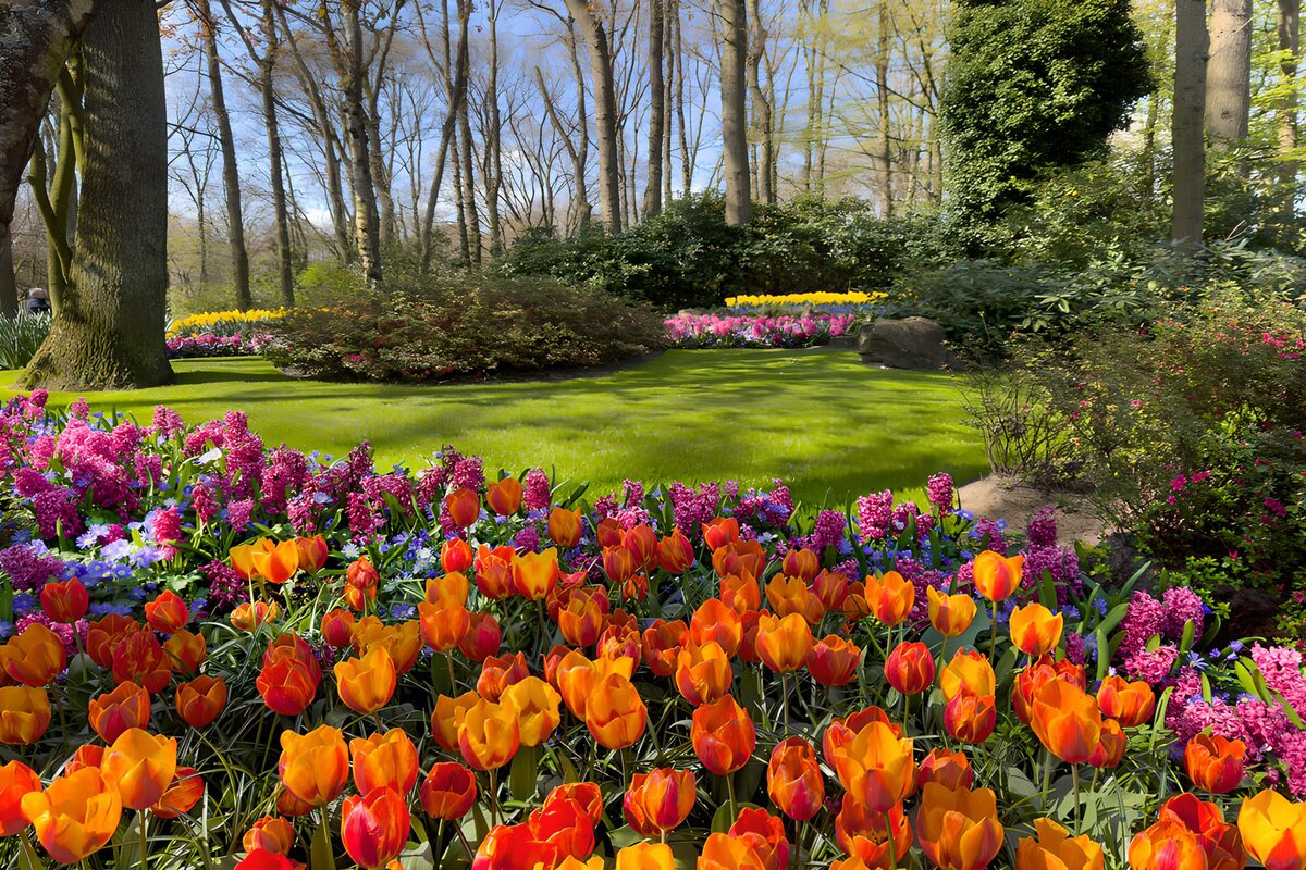 Kleurrijke Lentetuin in Bloei