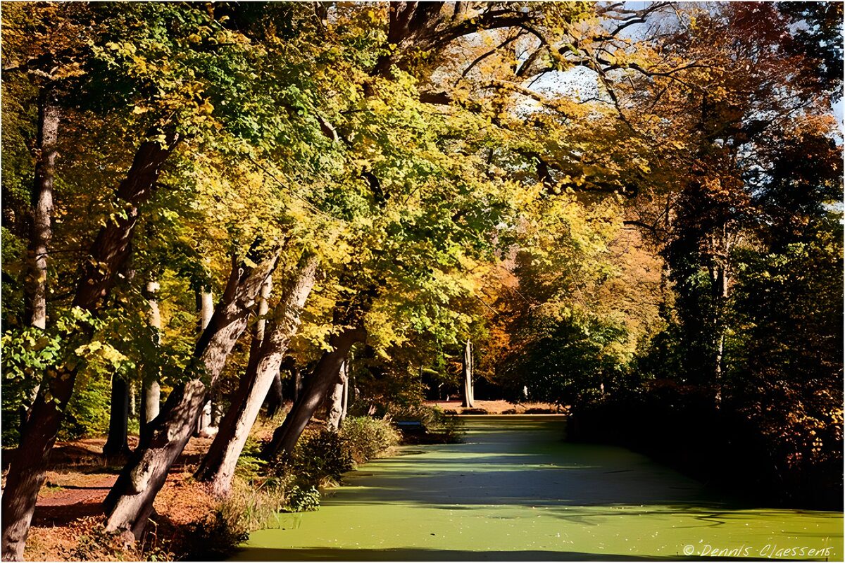 Herfstwandeling langs de groene waterkant