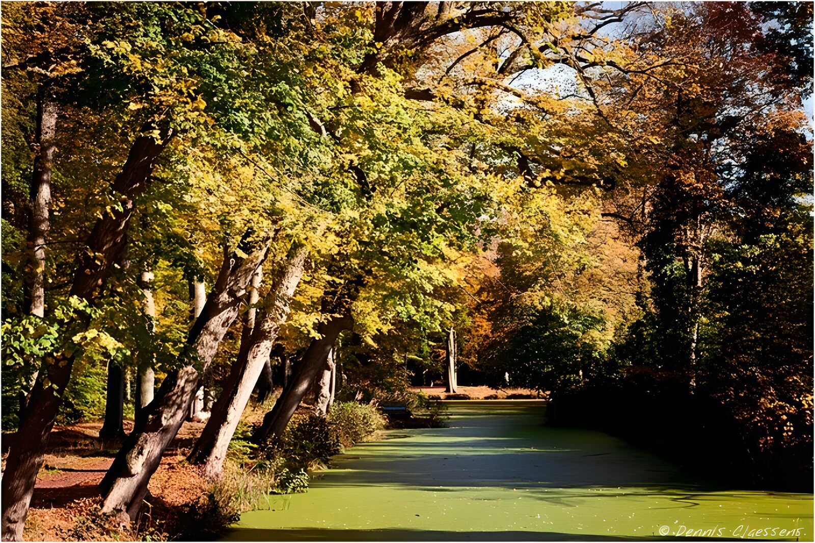 TP99890: Herfstwandeling langs de groene waterkant