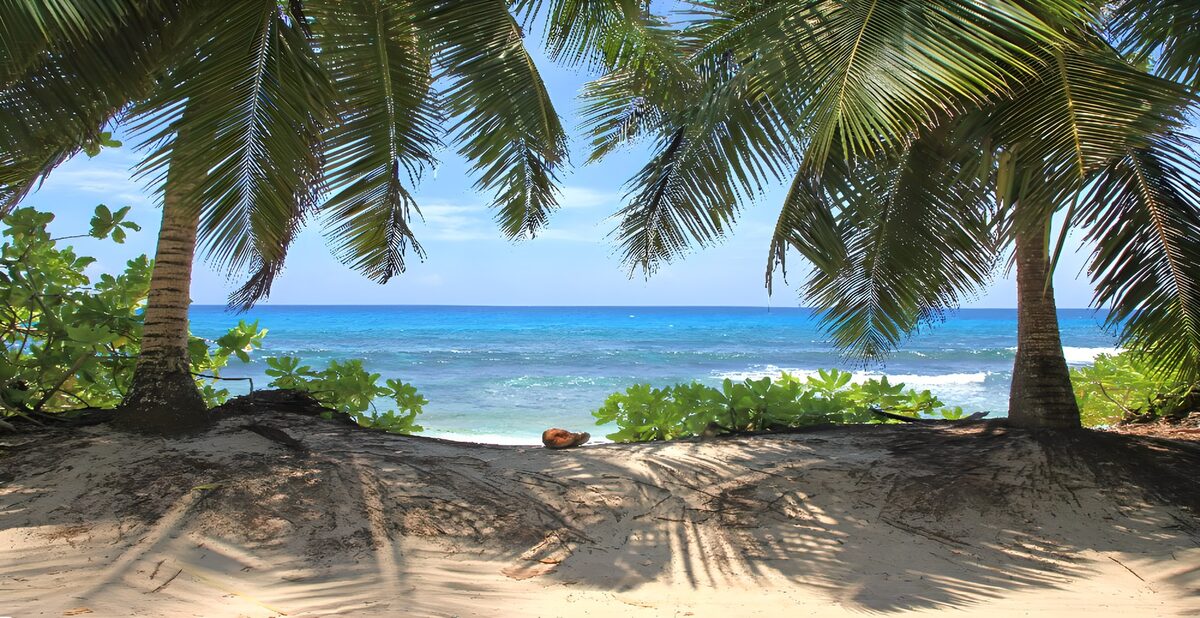 TP35210: Tropisch strand tussen palmbomen