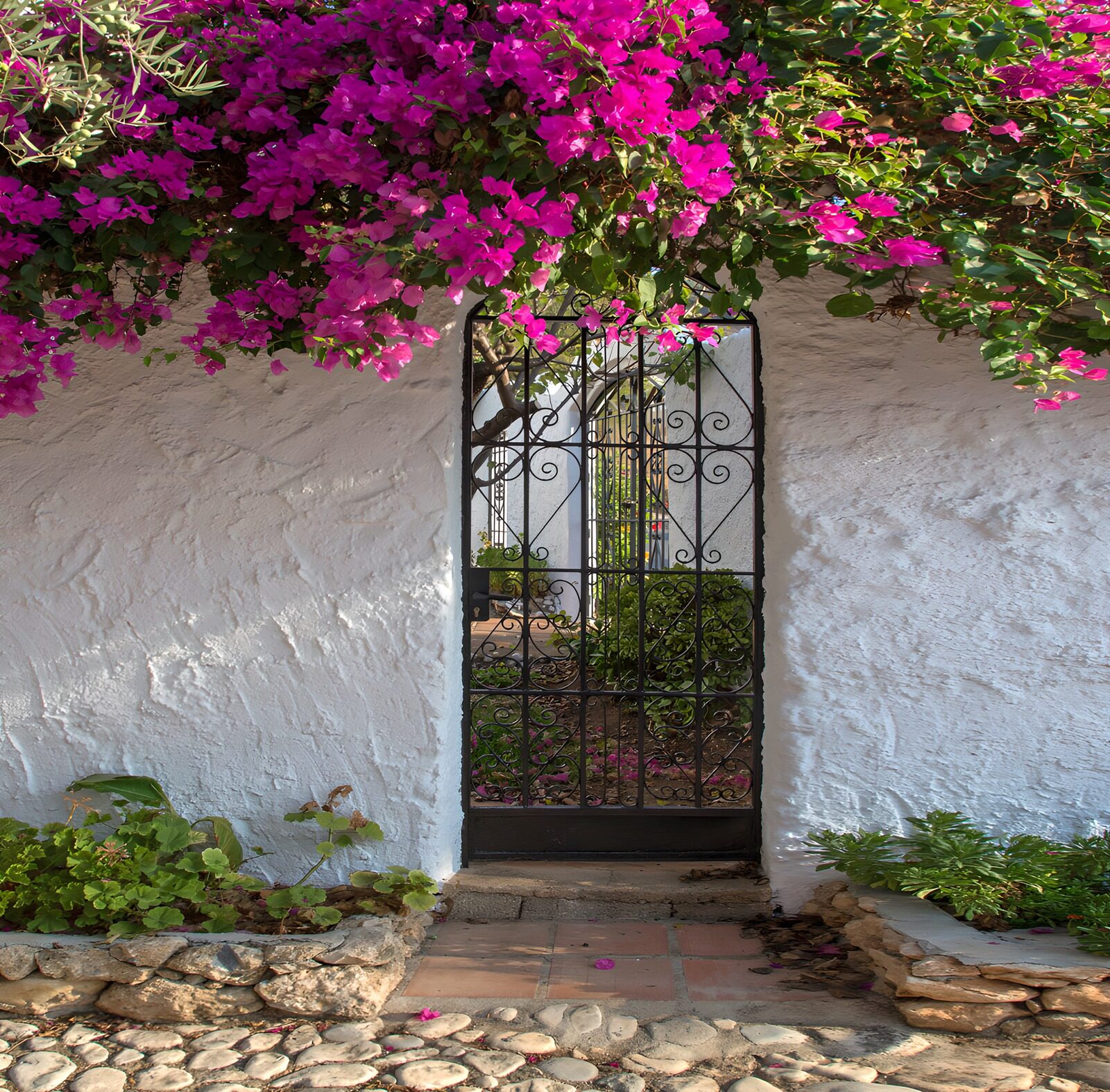 TP28399: Witte gemetselde muur met deur begroeid met Bougainville