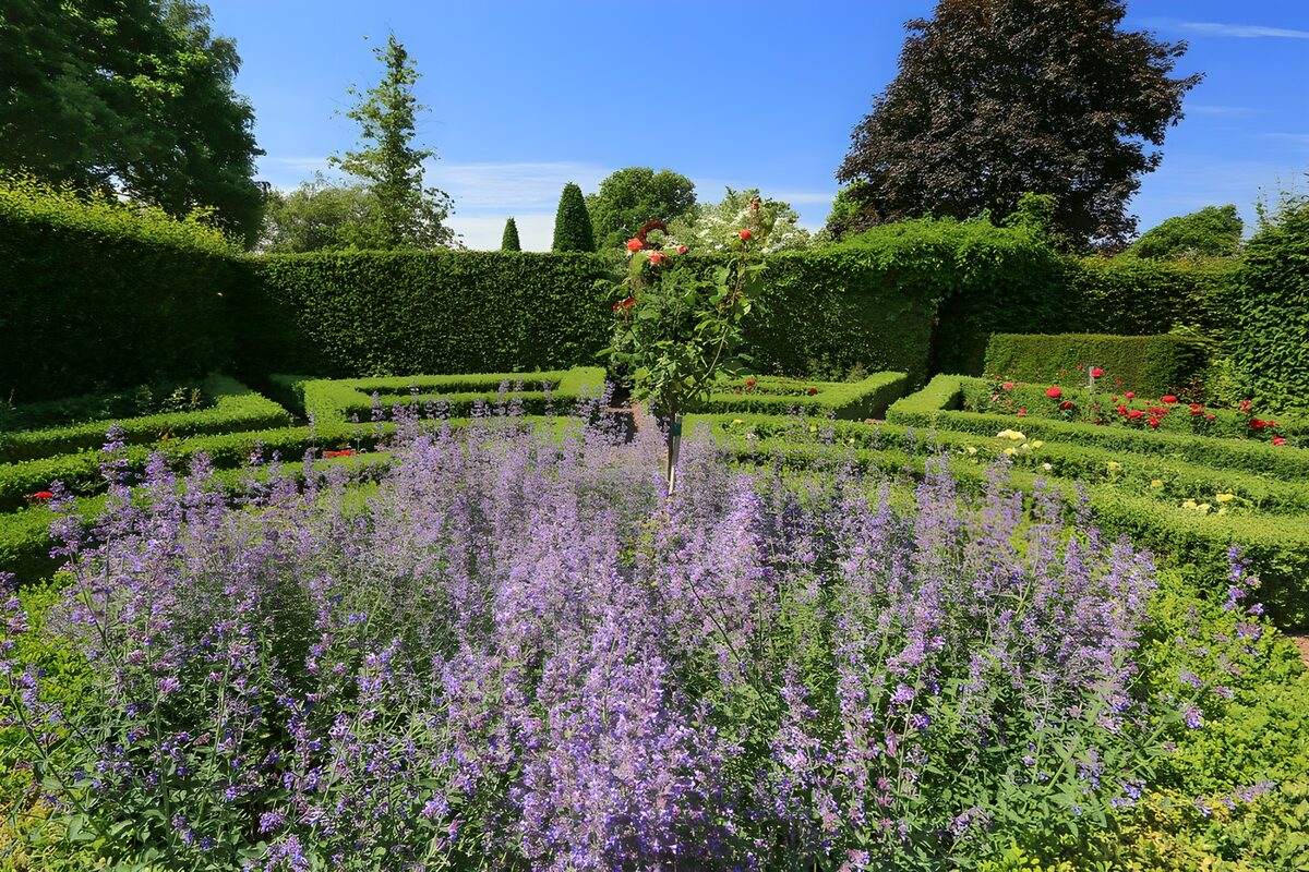 Park met buxus hagen en lavendel