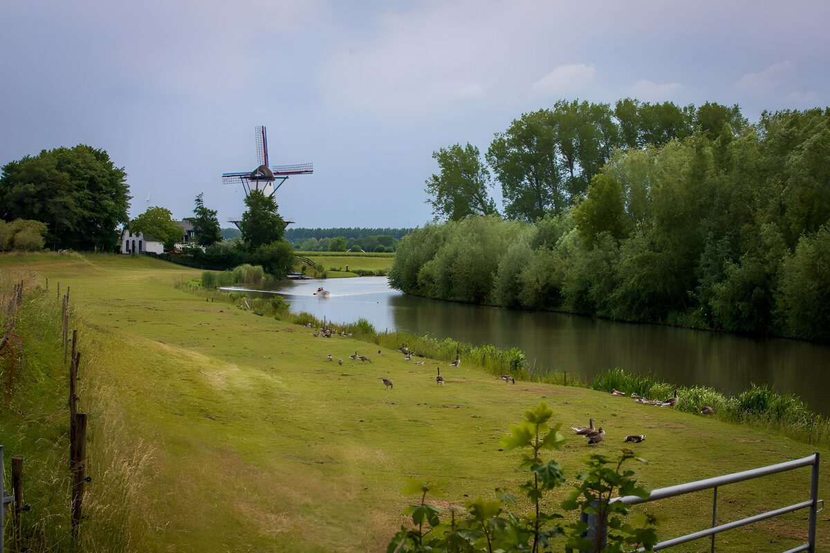 TP78435: Schitterend landschapsbeeld met molen