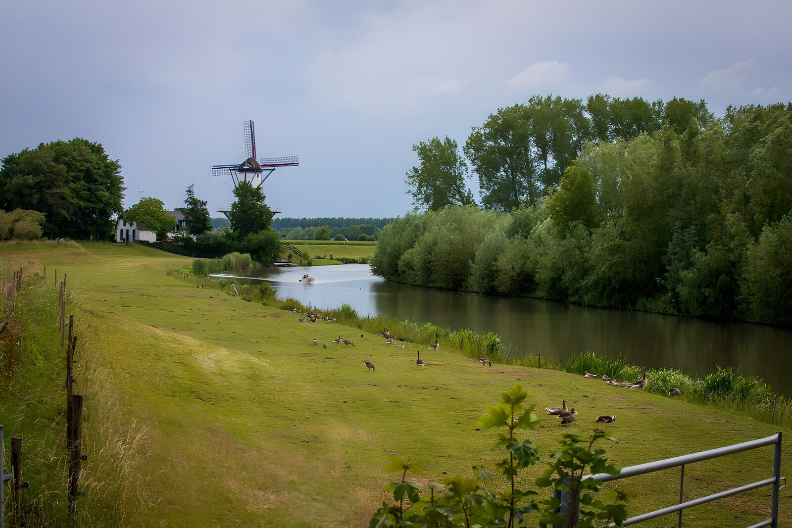 TP78435: Schitterend landschapsbeeld met molen