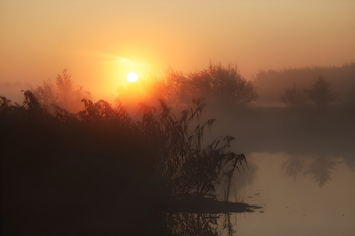 Zonsopgang boven mistig water