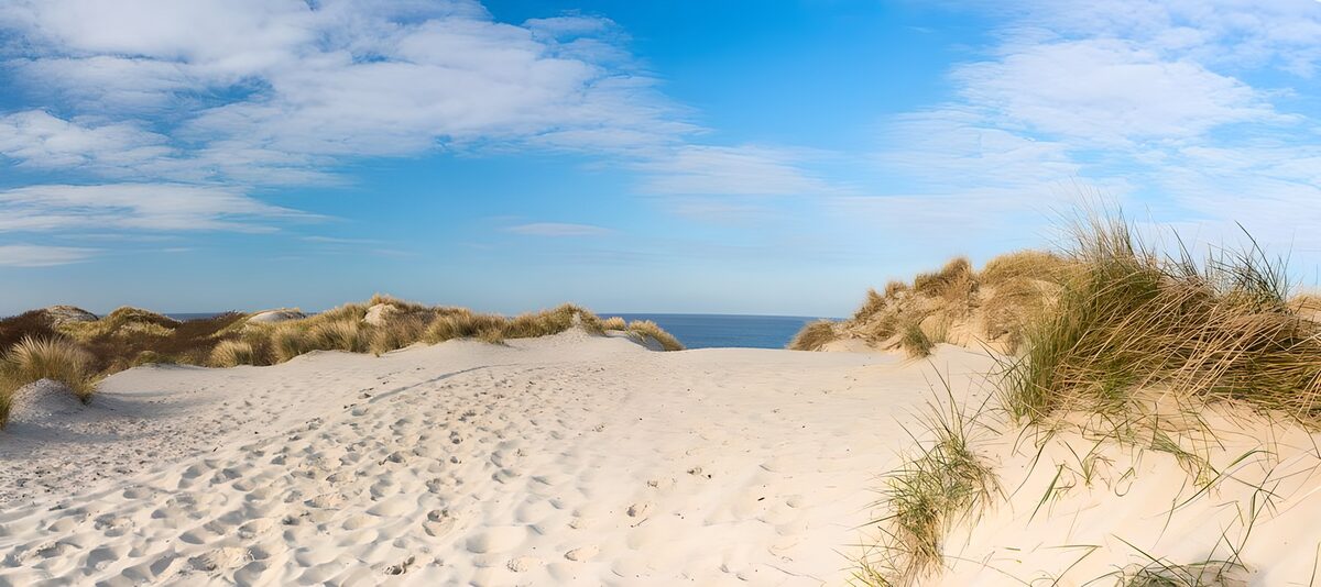 Zanderige kust met zeezicht