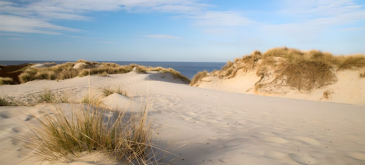 TP37014: Rustige duinen bij de zee
