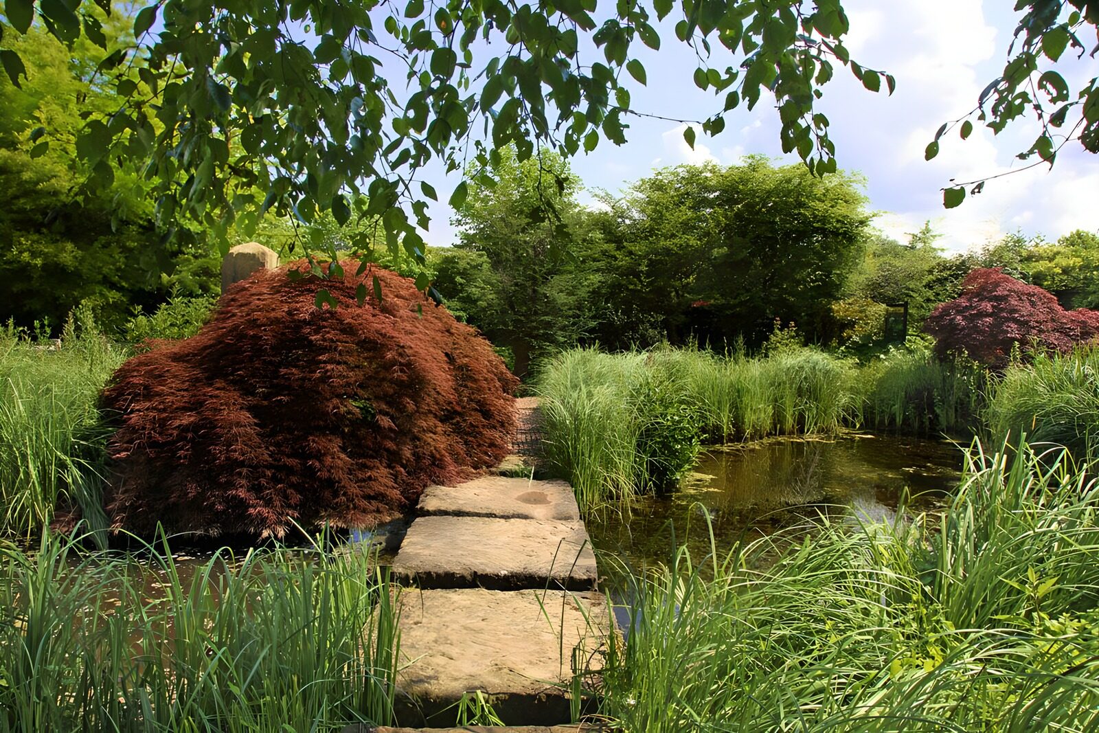 TP75120: Rustig Tuinlandschap met Water en Planten