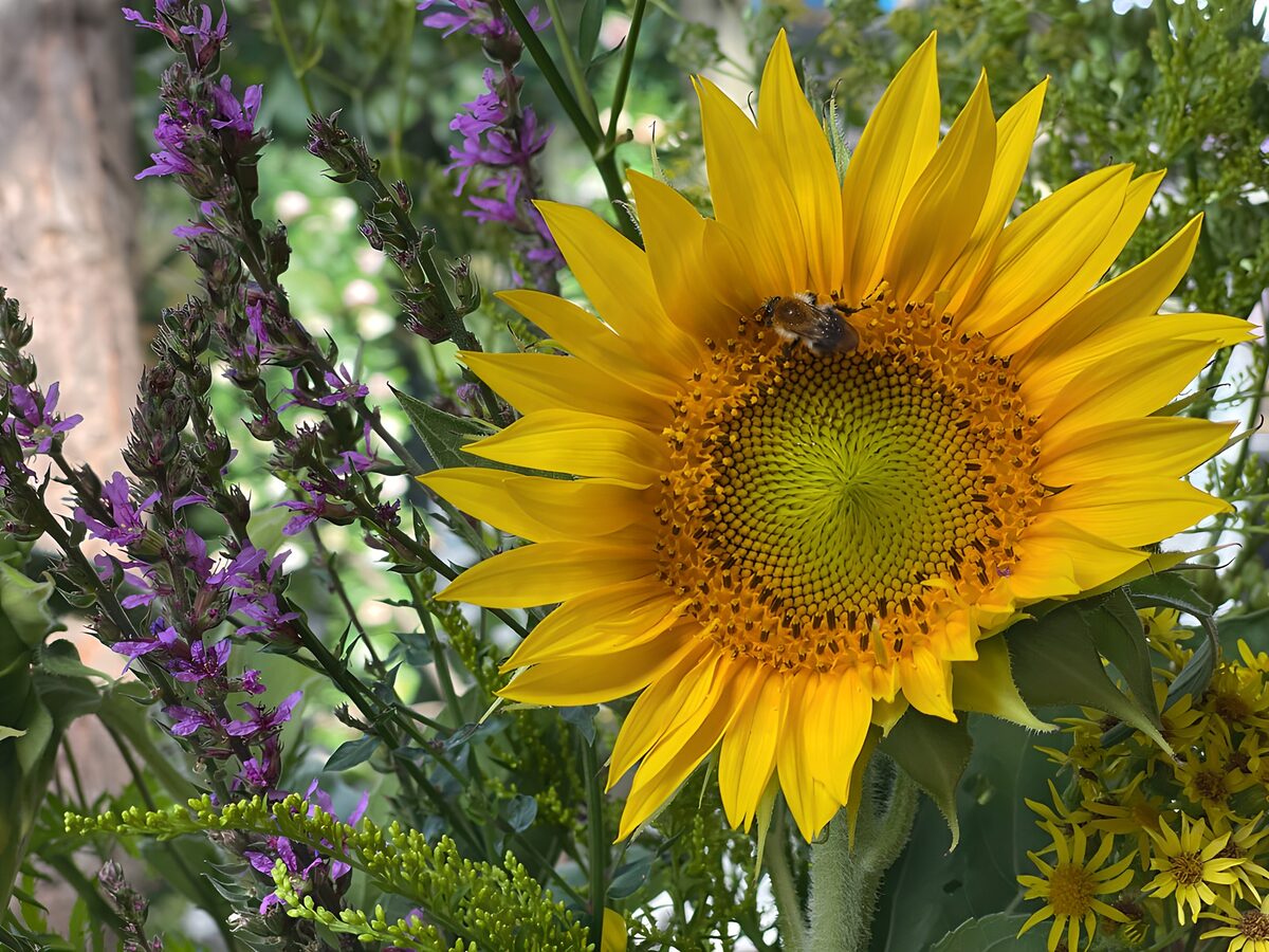 Zonnebloem met bij in bloemenboeket