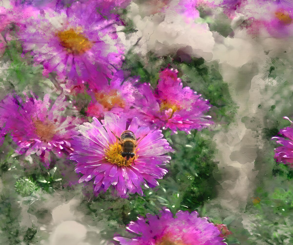 Bij op paarse bloemen