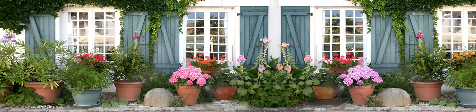 TP46773: Kleurrijke bloementuin bij de woning