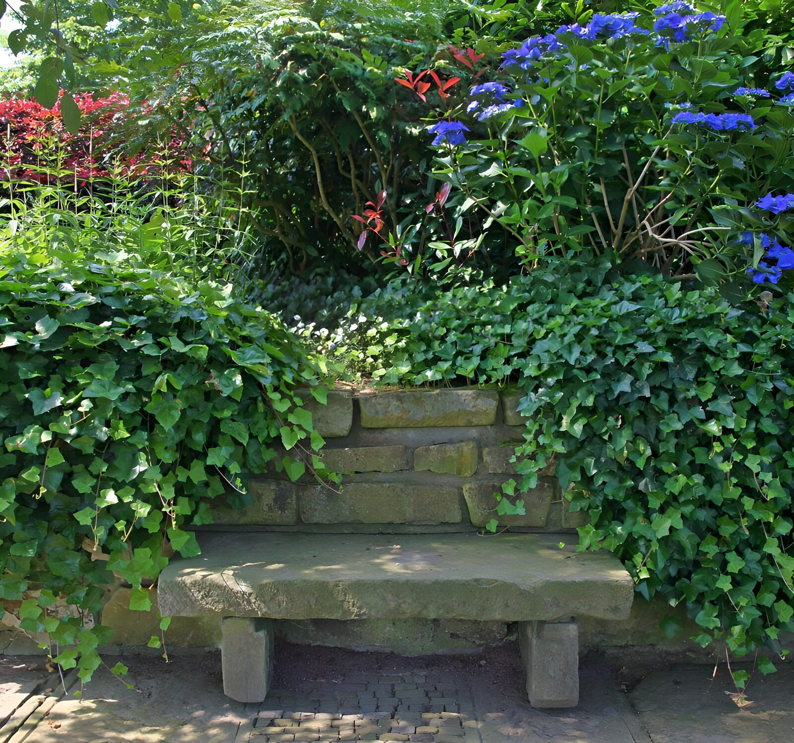 TP86197: Rustige plek tussen bloemen en groen