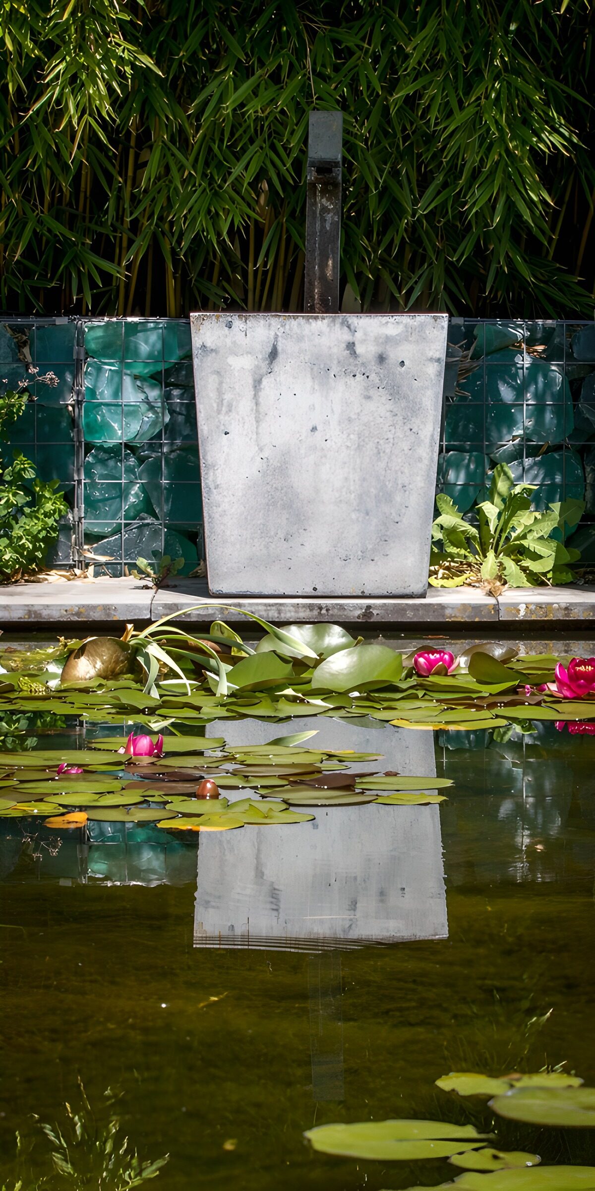 TP33164: Rustgevende vijver met waterlelie