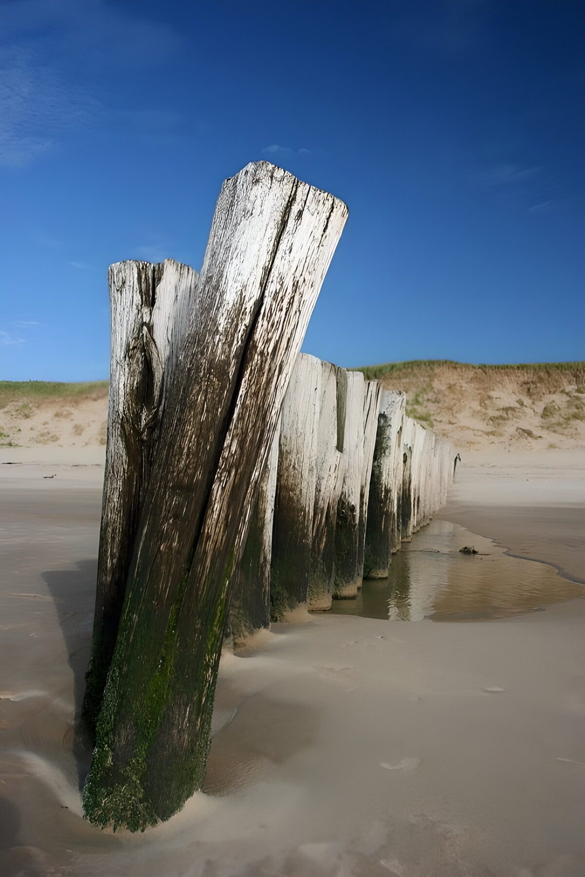 Verweerde palen aan het strand