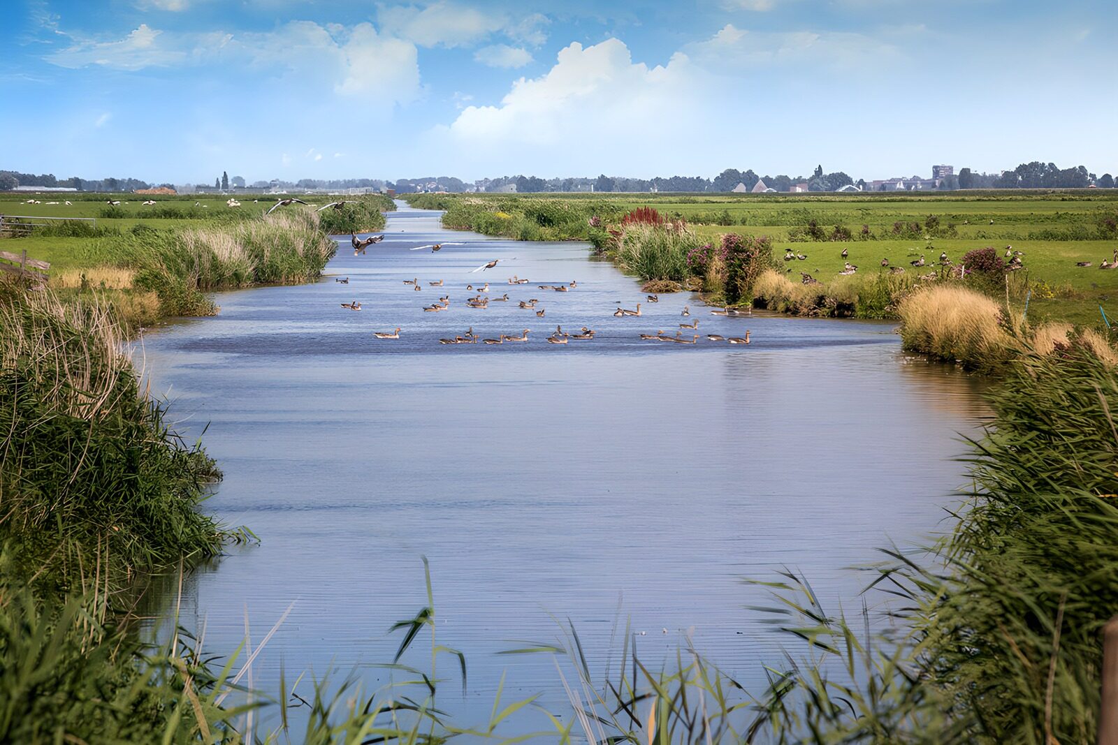 TP11178: Rustig Riviertje in het Groene Landschap