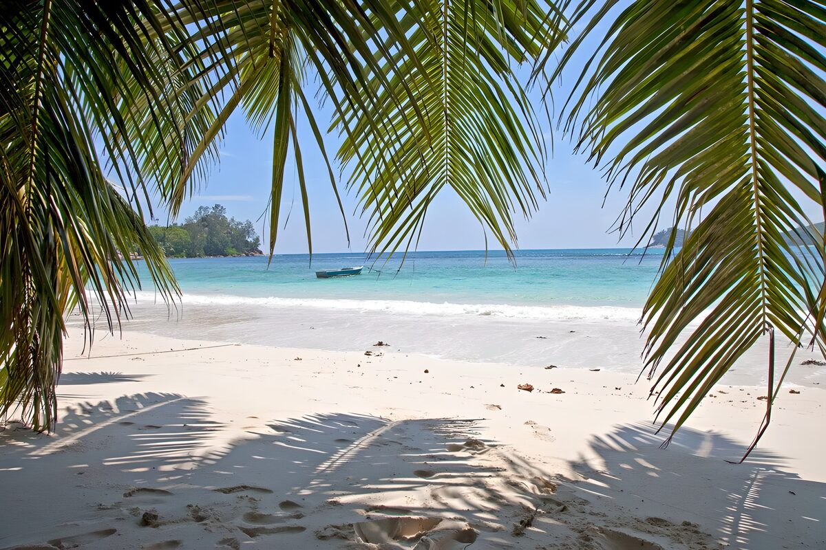 TP81313: Zonnig strand met palmbomen