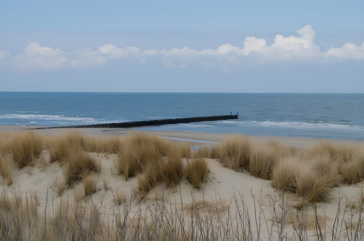 TP95316: Rustig strand met houten pier en duinen