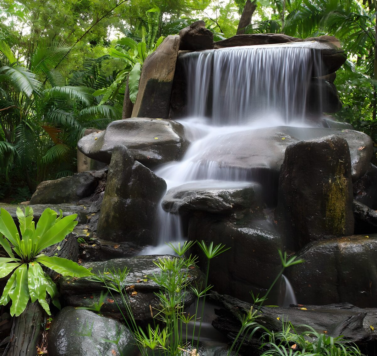 Waterval op rotsen begroeid met planten