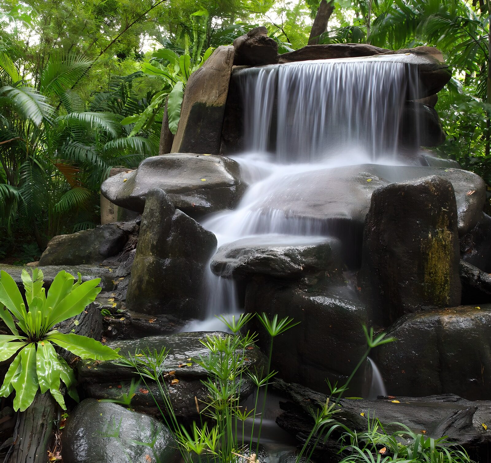 TP81910: Waterval op rotsen begroeid met planten