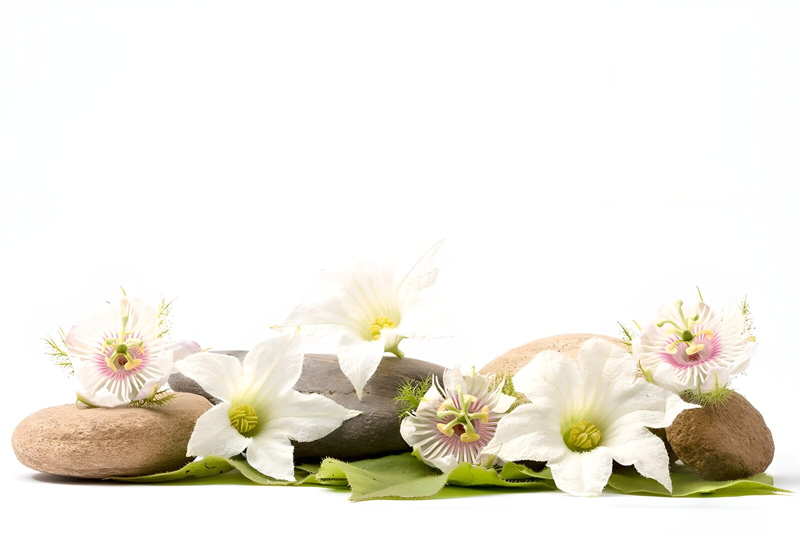 TP32365: Vochtigen Bloemen en Keien Arrangement