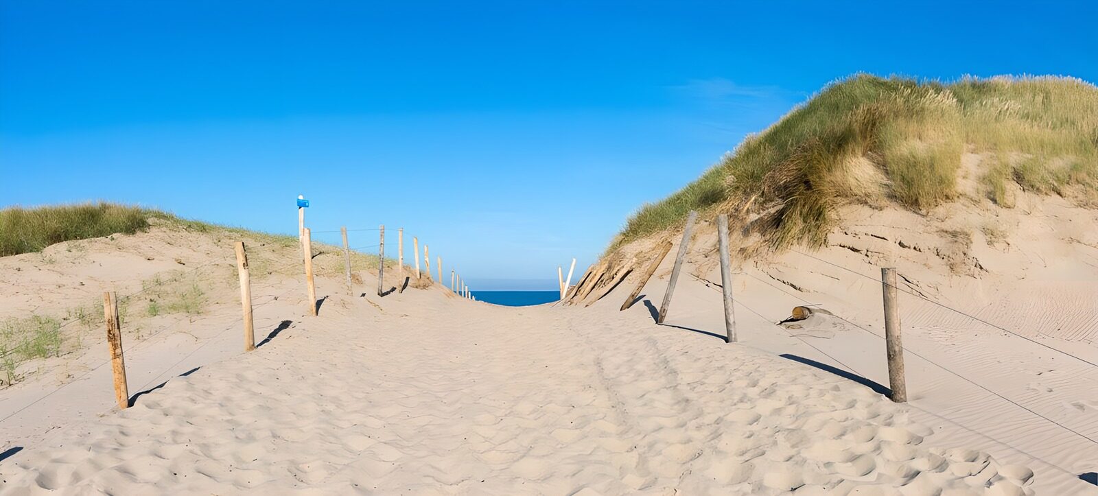 TP53094: Zandpad naar zee in Bergen aan zee