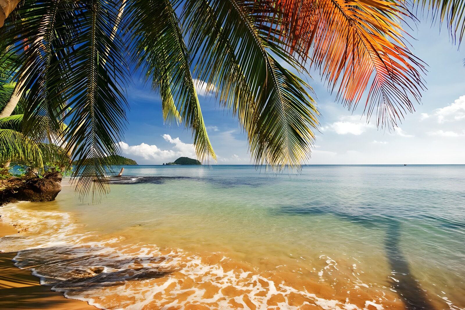 TP81984: Tropisch strand met palmbomen