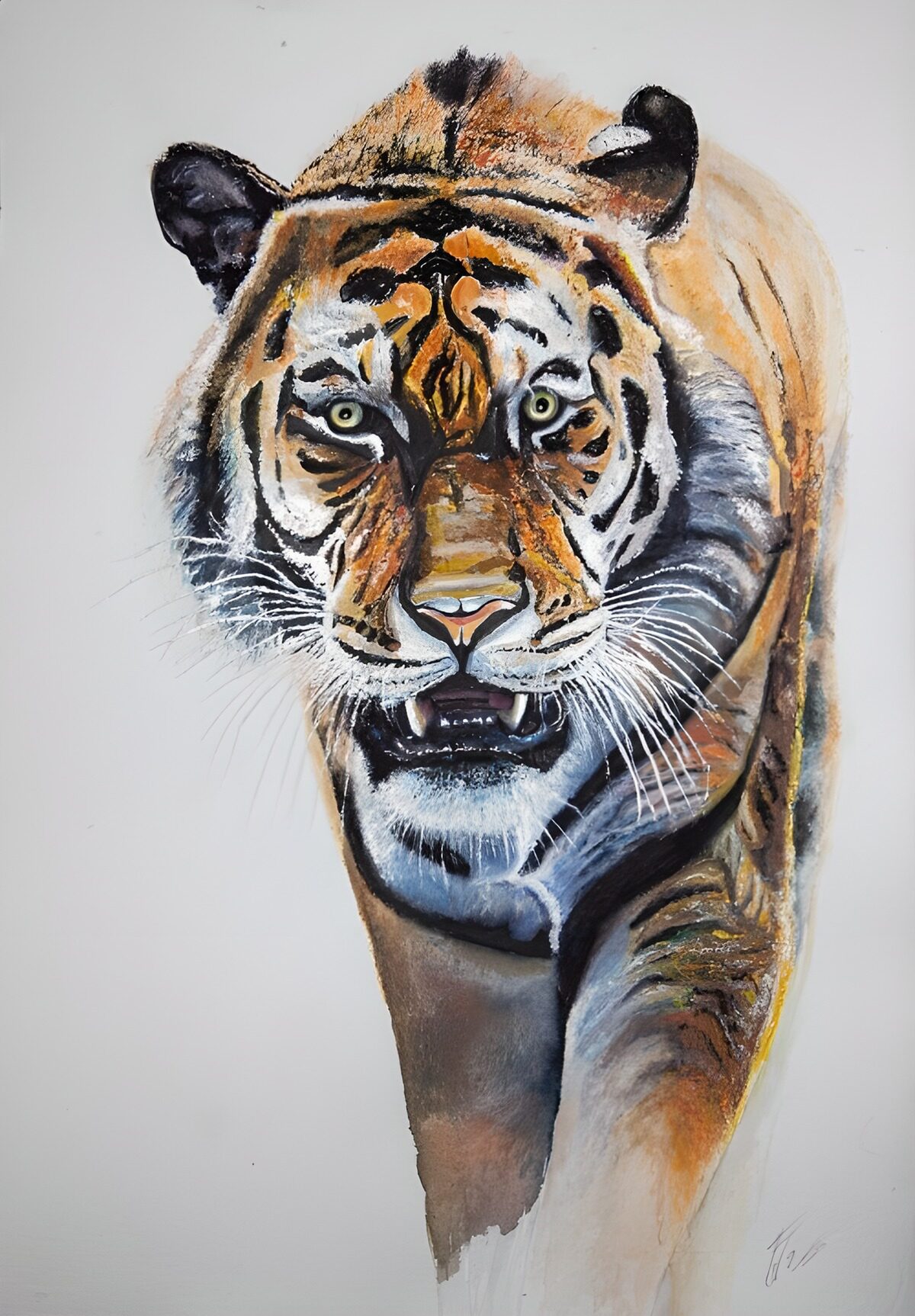 TP60488: Majestueuze Tijger