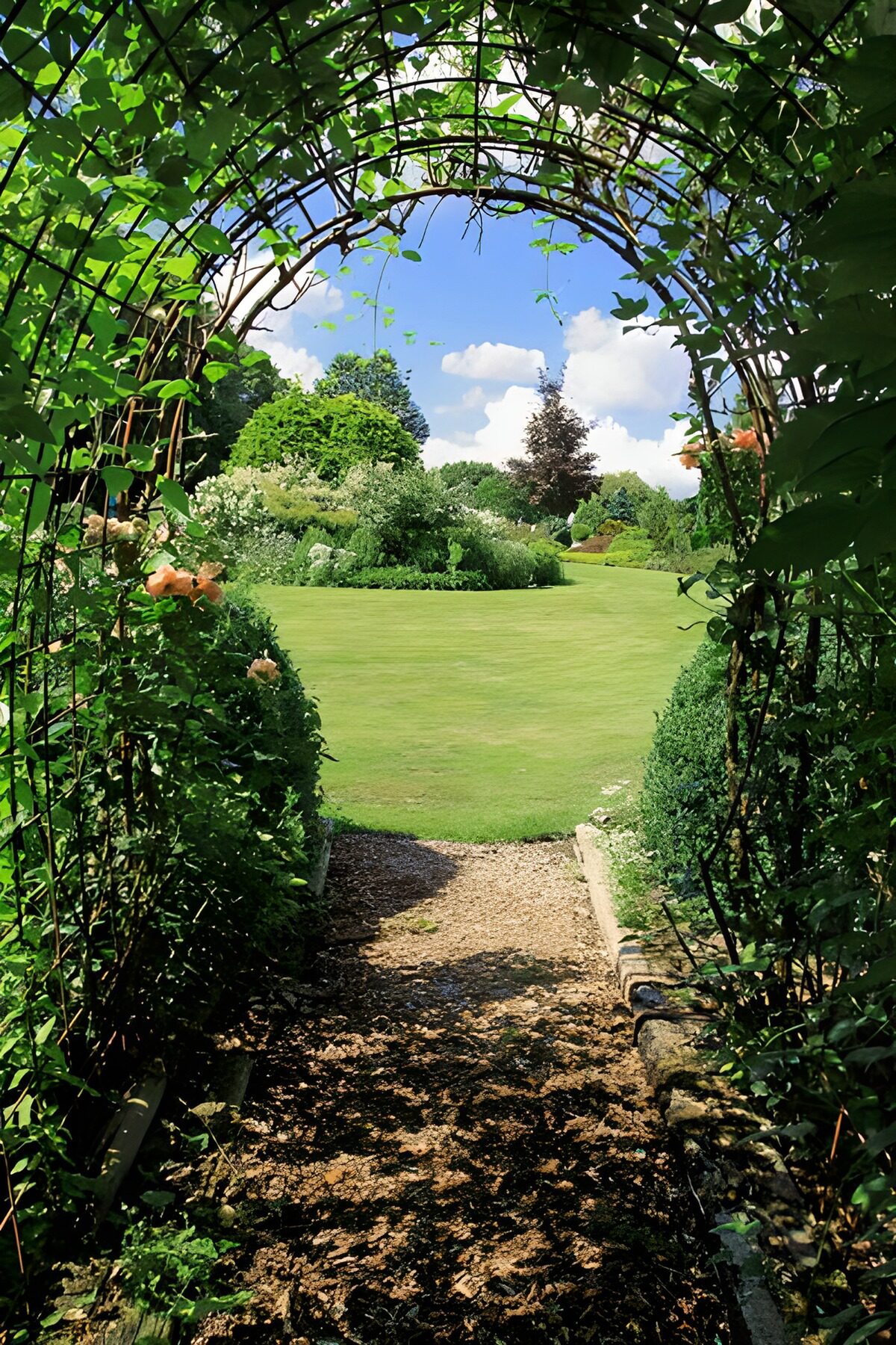 Pad met boog van klimop naar tuin