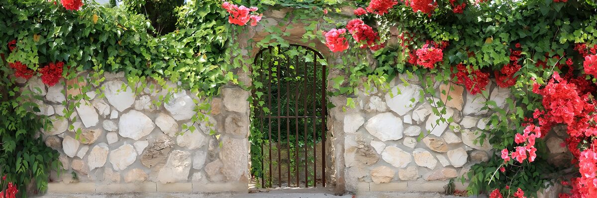 Oude muur met tralie deur begroeid met Bougainville