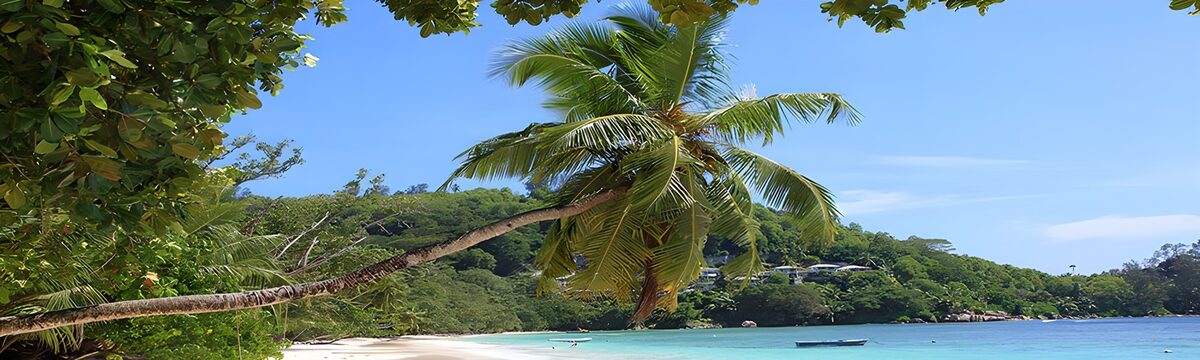 TP89728: Tropische Strand met Palmbomen