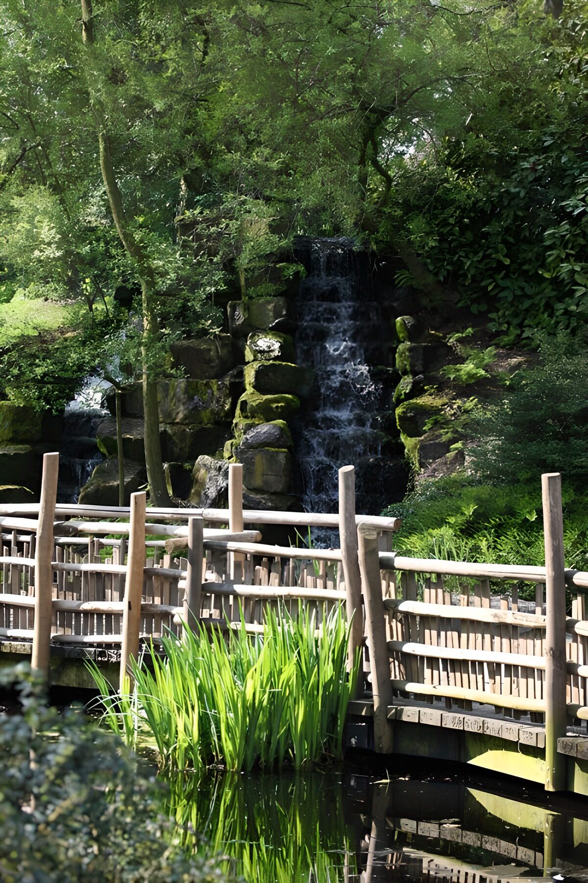 Waterovergang van palen en hout