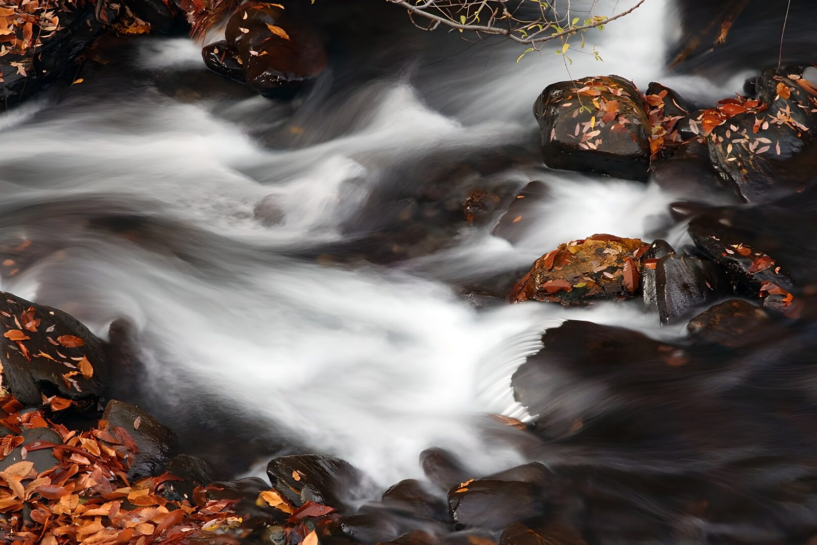 TP98777: Stroom van herfstbladeren en water