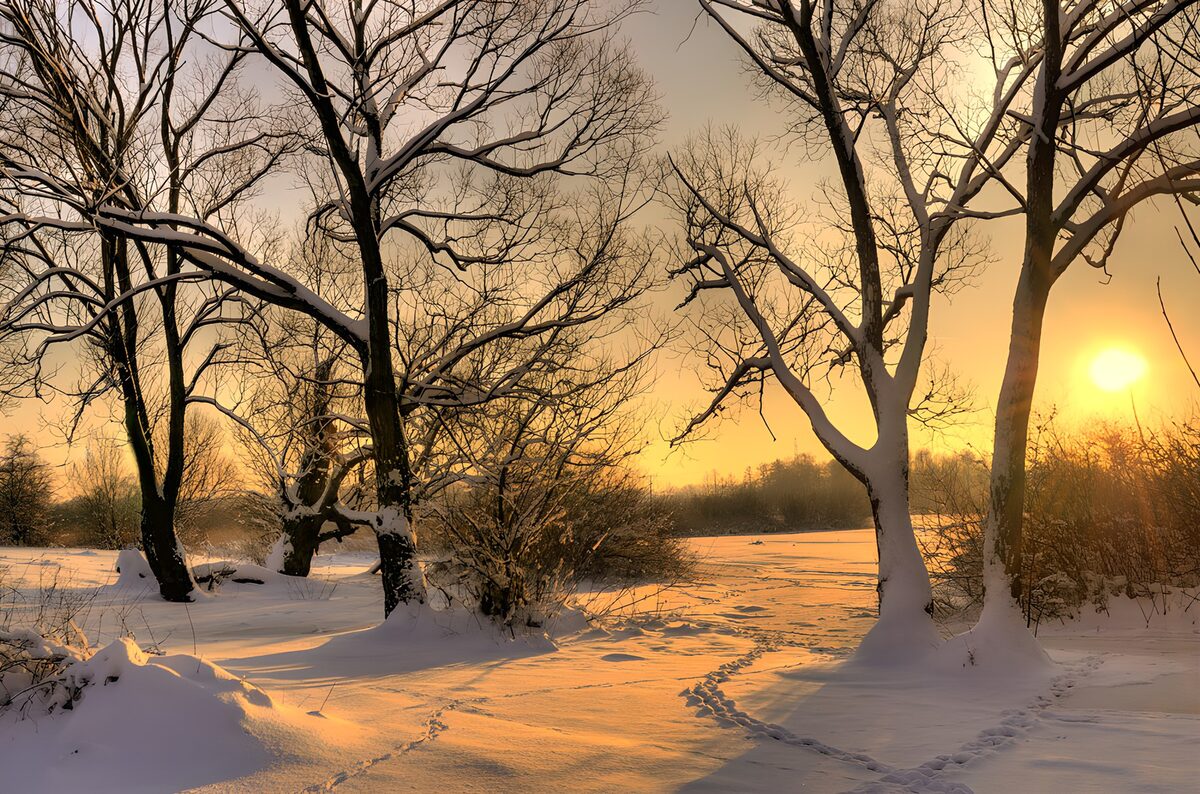 TP94533: Winterse ochtend met zonsondergang