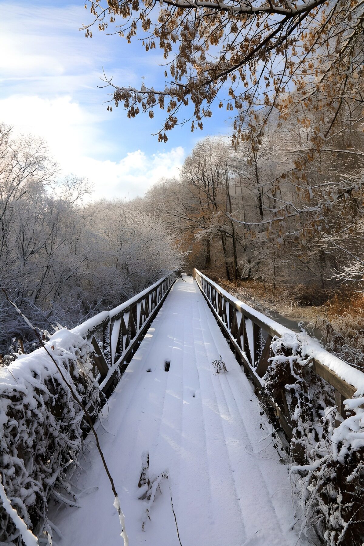 TP58581: Sneeuw bedekte brug in de natuur