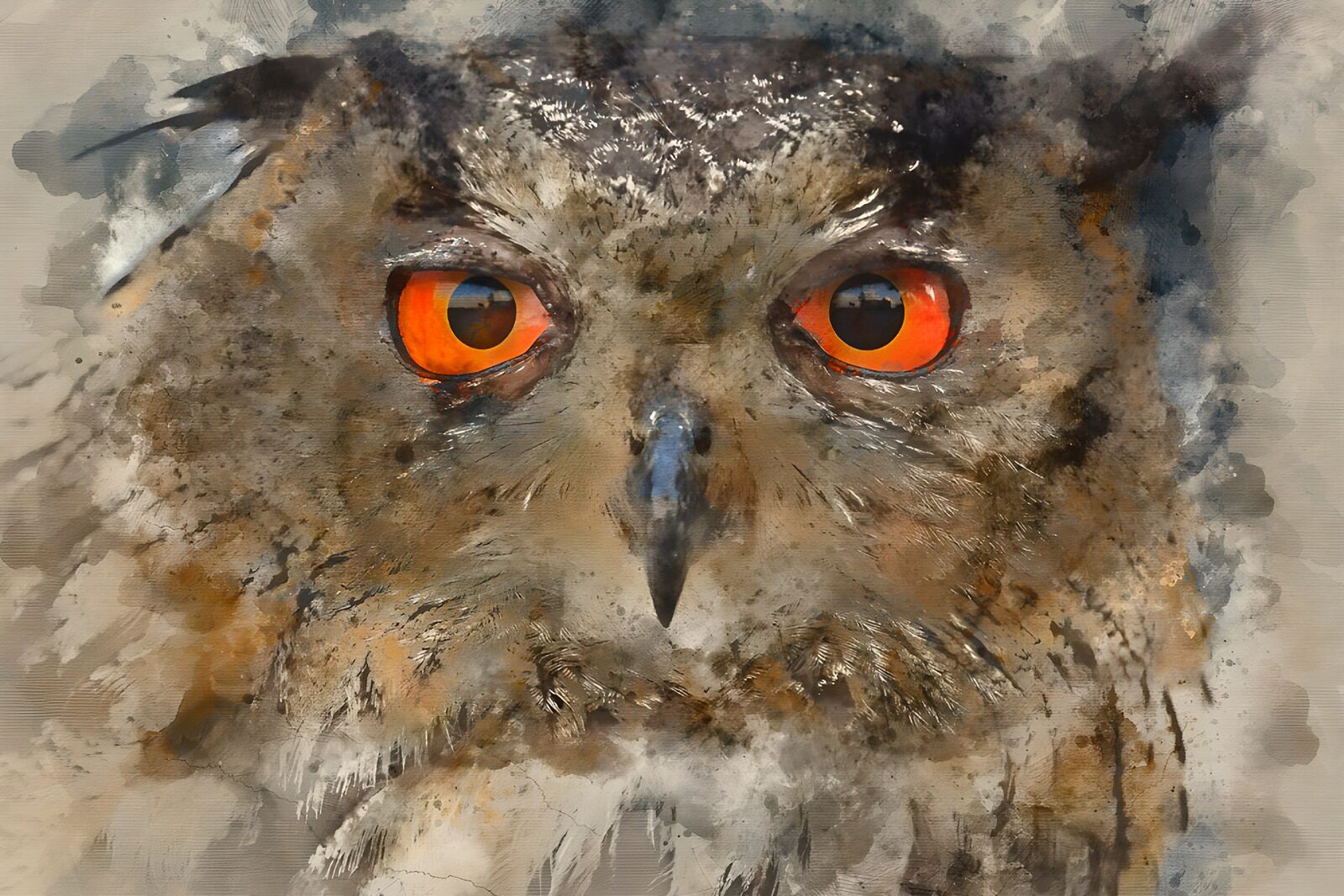 TP43787: Oog van de Uil