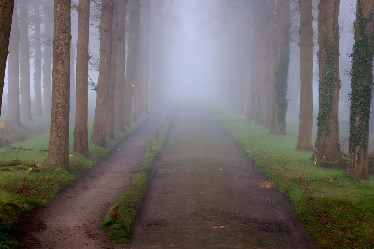 Mysterieus pad door nevelig bos