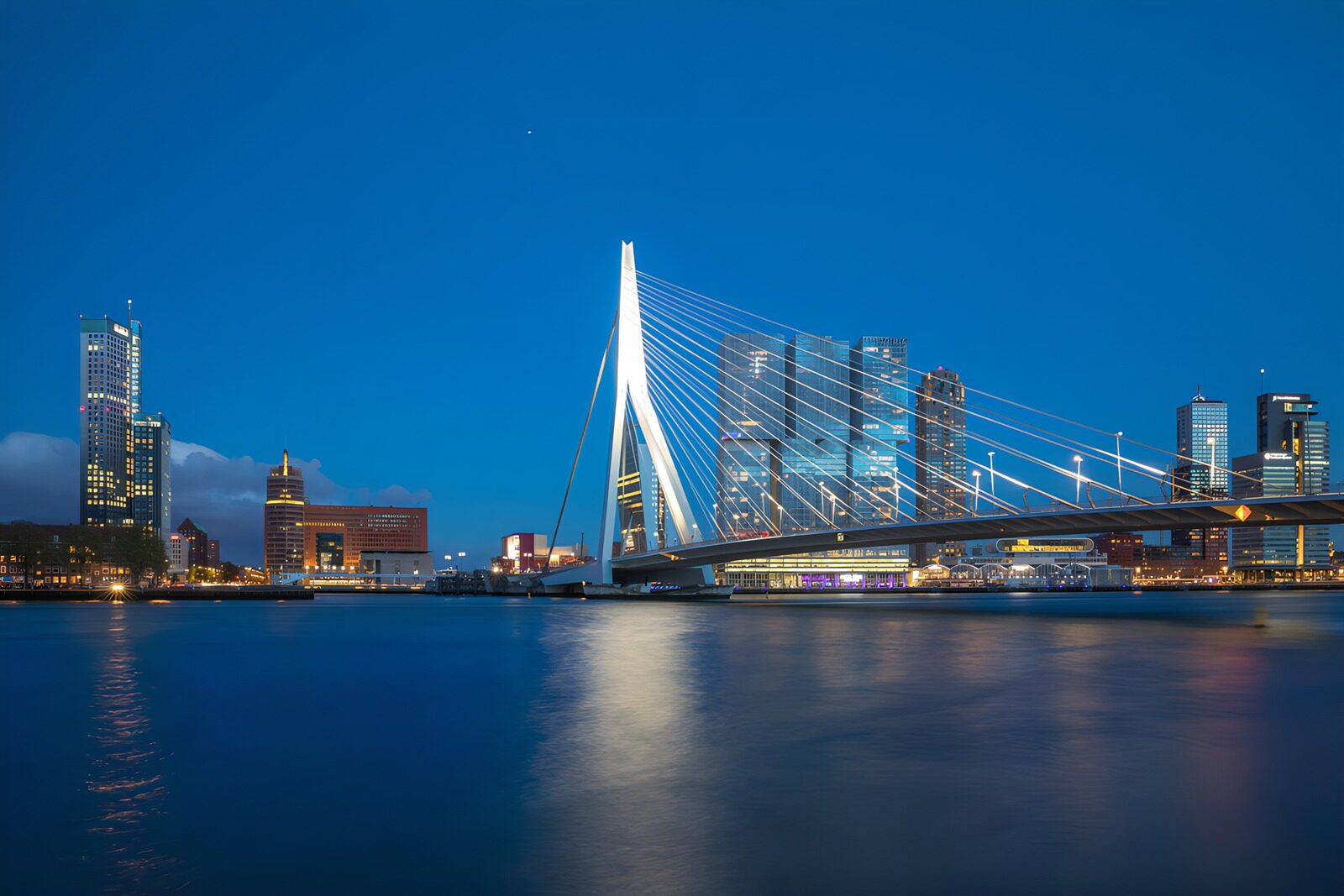 TP14973: De Erasmusbrug bij nacht in Rotterdam