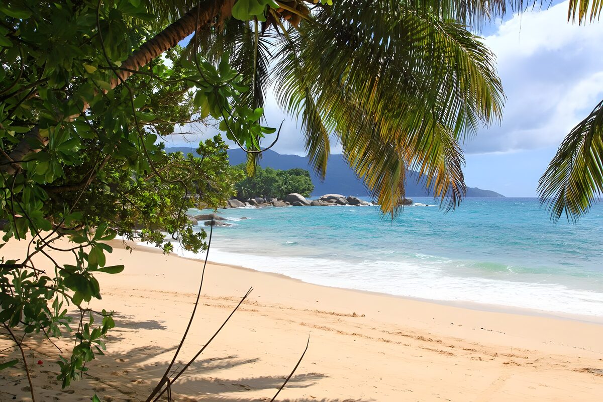 TP12930: Tropisch strand met palmbomen