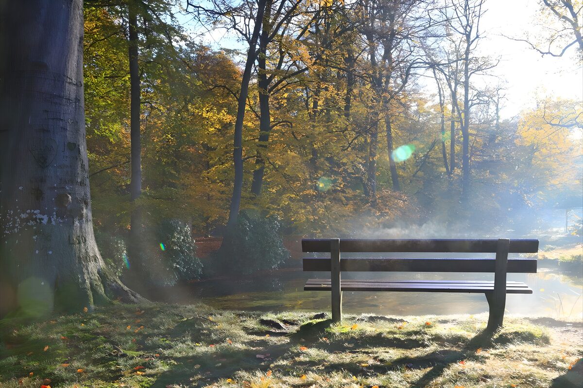 Dampend bankje in de herfstzon 2