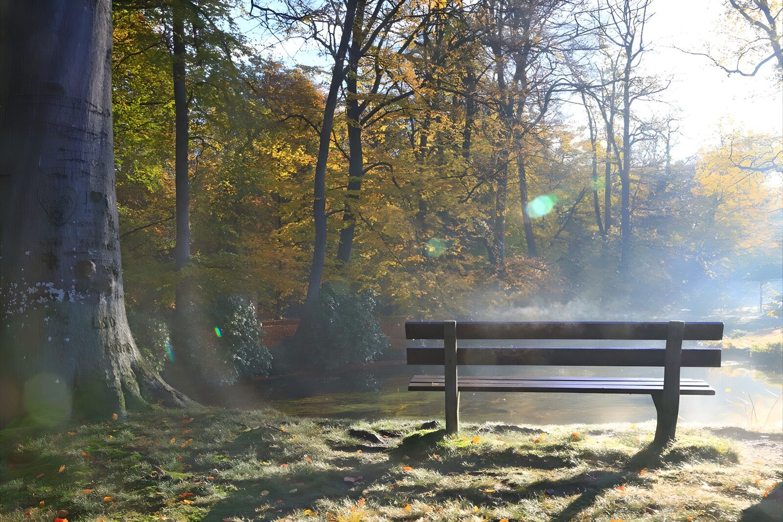 TP23646: Dampend bankje in de herfstzon 2