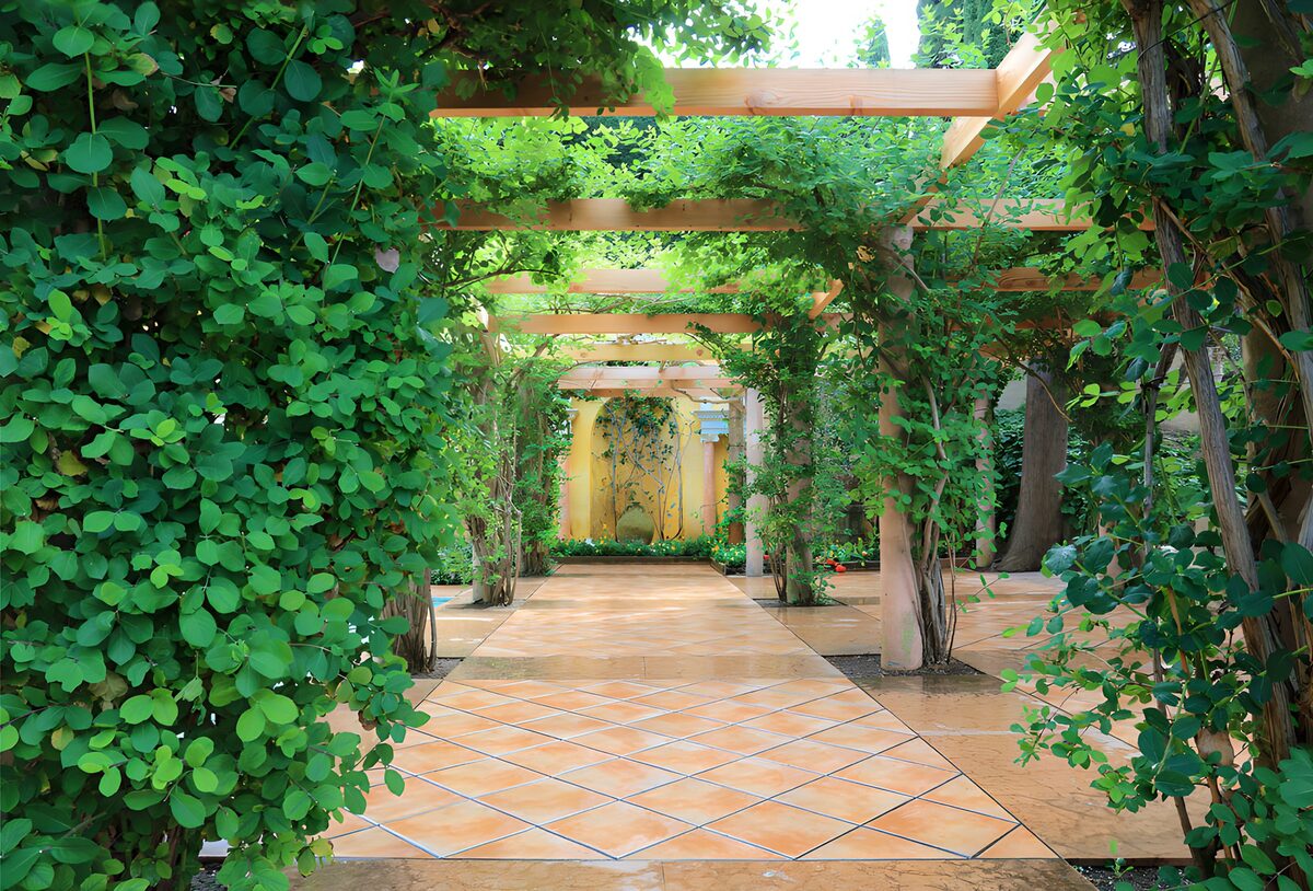 Groen pad door een serene tuin
