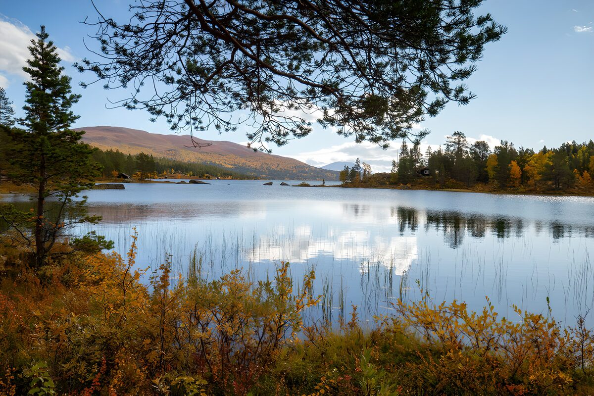 Prachtig herfstlandschap bij het water
